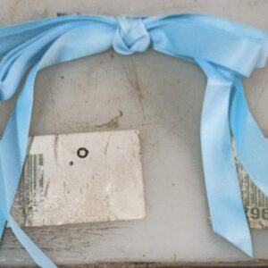 Blue Colour Hair Clip For Girls