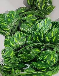 Drinip Ganesh Chaturthi Money Plant Garlands Garland Money Leaf Bail Office Party Decor Pack Of 6 Size 7 Point 5 Feet