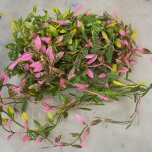 Multicolour Lines Artificial Hanging Flowers