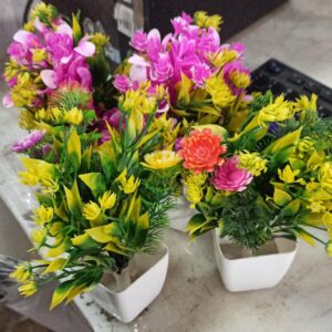 Mini Artificial Plants For Home Decor Pack Of 4