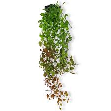 Artificial Plants Leaves Green Colour