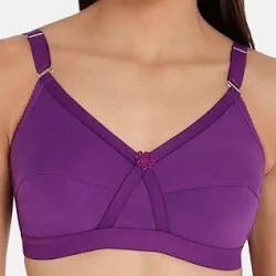 Purple Color Women Bra Size M
