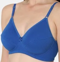 Women Blue Color Bra Size 34