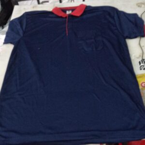 Blue Colour T Shirt For Men Size Xl