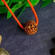 5 Mukhi Rudraksha For Men
