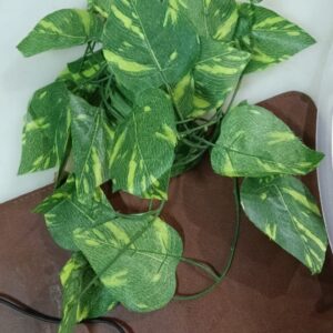 Green Leaves For Decor In House