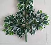 Rubber Quality Artificial Ficus Leaves Bunch For Decoration