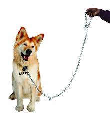 Liffo Dog Chains For Strong Dogs Heavy Duty Lock Hook