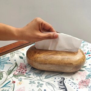 Akira Mrityu Mango Wood Tissue Box