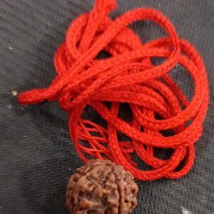 5 Mikhi Rudraksh For Men Women