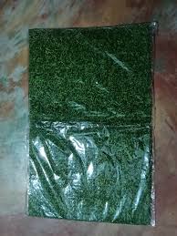 Premium Artificial Green Grass Mat For Homelook Doormat 40Cmx60Cm