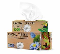 The Honest Home Company Facial Tissue 2 Ply 100 Pulls
