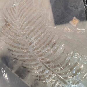 Reusable Wall Stencil For Home Decoration Size 16 Inches X 24 Inches Plastic Sheet