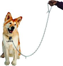 Liffo Dog Chains For Strong Dogs With Heavy Duty Lock Hoo