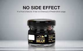 Sulemani Shilajit 20G