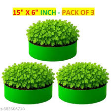 Green Color Plant Bag Set Of 3 Inch 15X6 Inch