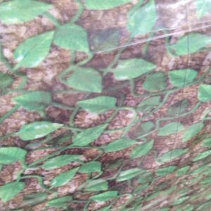 Green Color Leaves Wallpaper 1 Meter