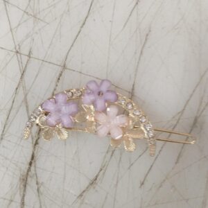 Muli Color Hair Clips For Women