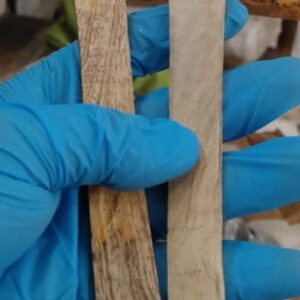 Wooden Spoon Size 14 Paok Of 2