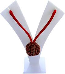 5 Mukhi Rudraksha With Red Dhaga For Men And Women