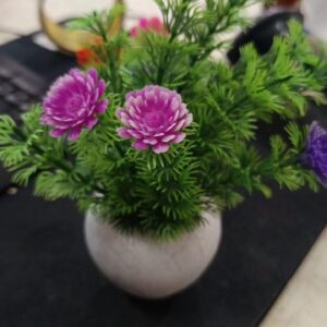 Plastic Artificial Potted Mundeya Flower Plant