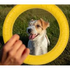Yellow Ring Shaped Toy For Dog Fitness