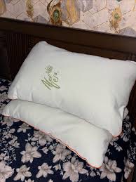 White Aloe Vera Cotton Pillow white colour king size pack of 1