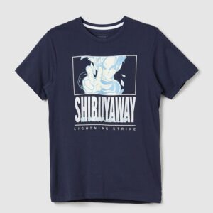 max Boys Printed Tshirt blue colour size 15 to 16 years