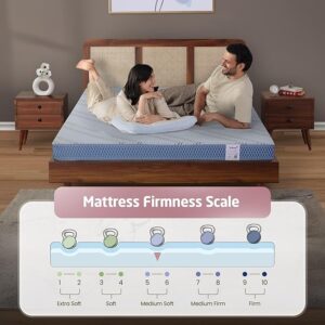 Livpure Smart Lumbar HR Foam Mattress 3D Sleeptech Zones 72into 72 into 4 inch blue and grey colour