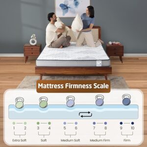 Livpure Smart DUOS FLIP Reversible Ortho HR Medium Soft Firm Mattress Queen Bed 72x60x5 inch White colour