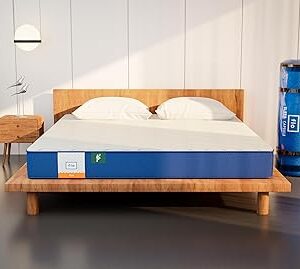 Flo Ergo Aloe Vera Infused Memory Foam Mattress 72 x 36 x 4 Blue White