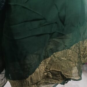 Private Lable Plain Organza Saree green colour