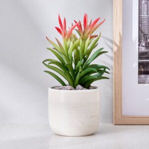 Homecentre Corsica Barnett Artificial Succulent in Ceramic Pot for home
