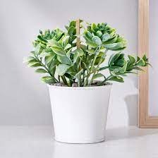 Homecentre Corsica Toby Artificial Succulent in Metal Pot for home decor