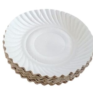 core pac paper plates Biodegradable 6 inch Round White Paper Plates Pack of 50 Plates