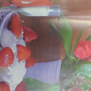 Private Label Red Colour Pack Of 4 Fridhe Rack Mat