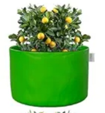Private Label Grow Bag Heavy Duty HDPE Plants Flower Growing Bags Floor Standing Mount Type for Home Garden Balcony Terrace Kitchen Nursery Green Round Without Handle 250 GSM 12 x 8 inch