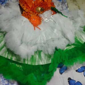 Private Label Kids Girl Tricolour Frock Dress for Independence and Republic Day 20 size malti colour