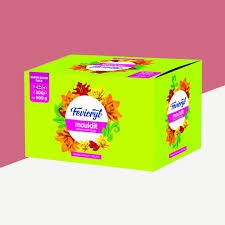 Fevicryl Mouldit Epoxy Compound for Murals 3D Art 900g