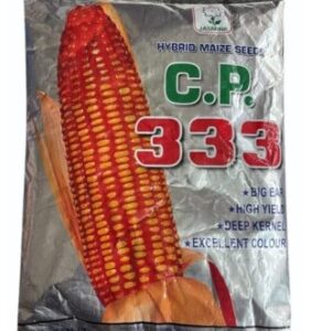 Hybrid maize seeds CP 333 10 kg