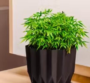 Private Label Set of 5 Flower Pots for Home Decoration