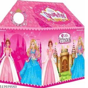Private Label Tent House For Kid 2 to10 Year Old Girls Multi Colour