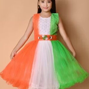 Private Label Cute Baby Girl Exclusive Independence day special frock Size 26 Multi