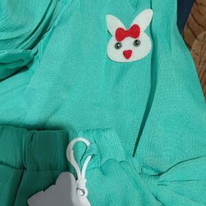 Private Label Baby Girls Top Pant set green colour 16 Size