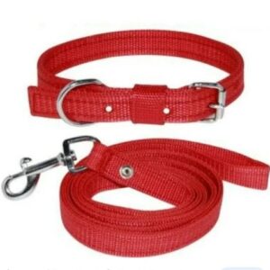Private Label Red Colour Dog Belt