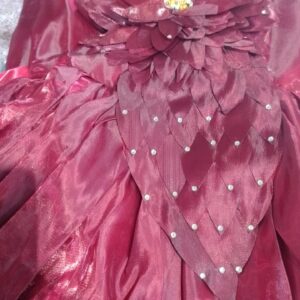 Private Label Kids Girls Maroon Colour Grown