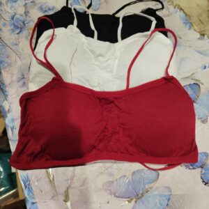 Private Label womans paded inner malti colour free size