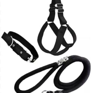 Agirav No Pull Dog Harness Step in Dog Harness and Leash for Small Medium Large Dog Escape Proof Adjustable Soft Leash Collar Set for Walking Training Hiking Outdoor 15 Cm 15 Cm