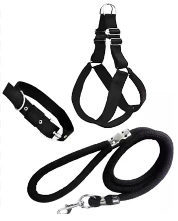 Agirav No Pull Dog Harness Step in Dog Harness and Leash for Small Medium Large Dog Escape Proof Adjustable Soft Leash Collar Set for Walking Training Hiking Outdoor 15 Cm 15 Cm