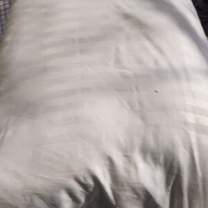 Private Label White colour Pillow